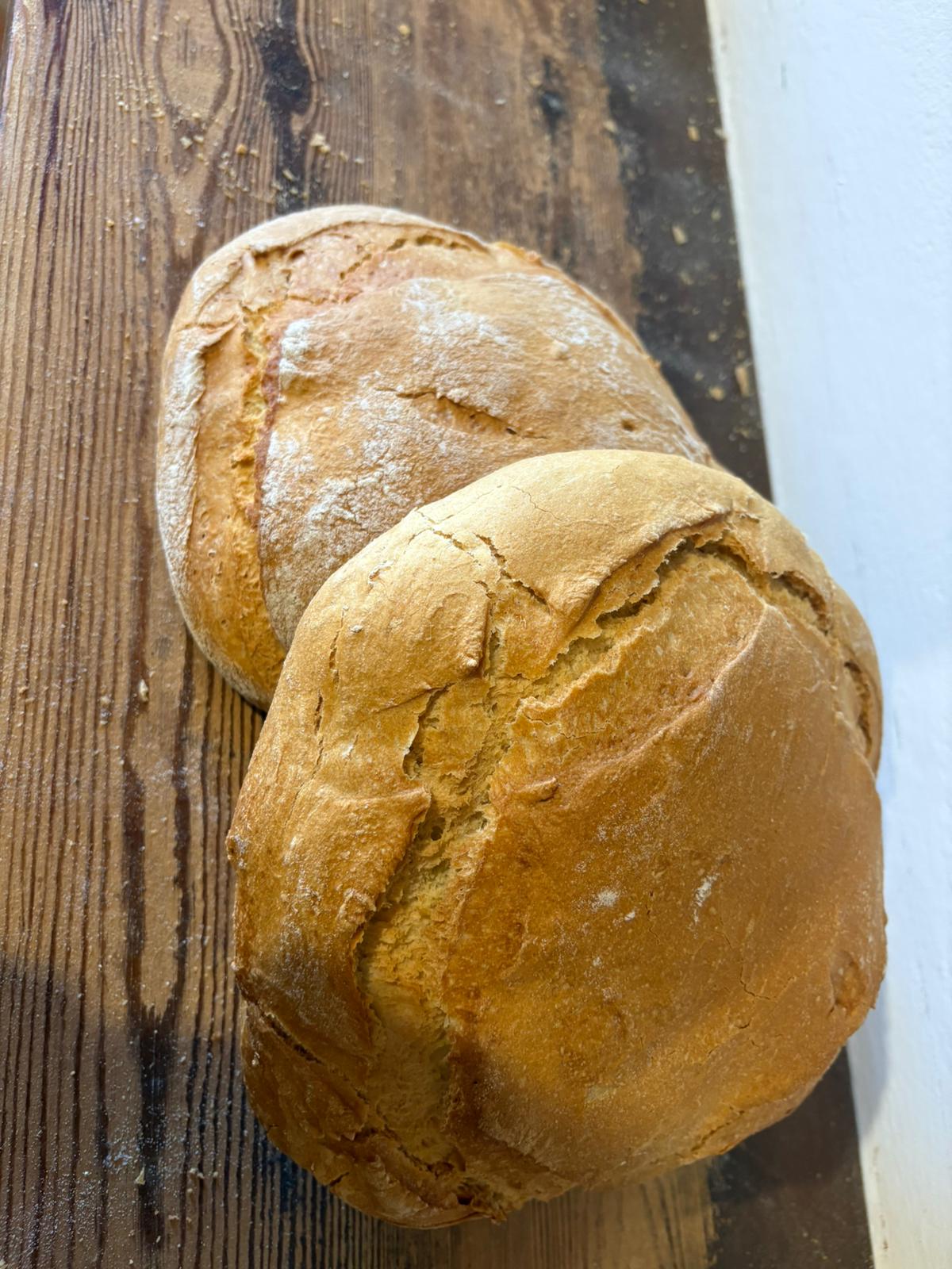 Hogaza Mediana